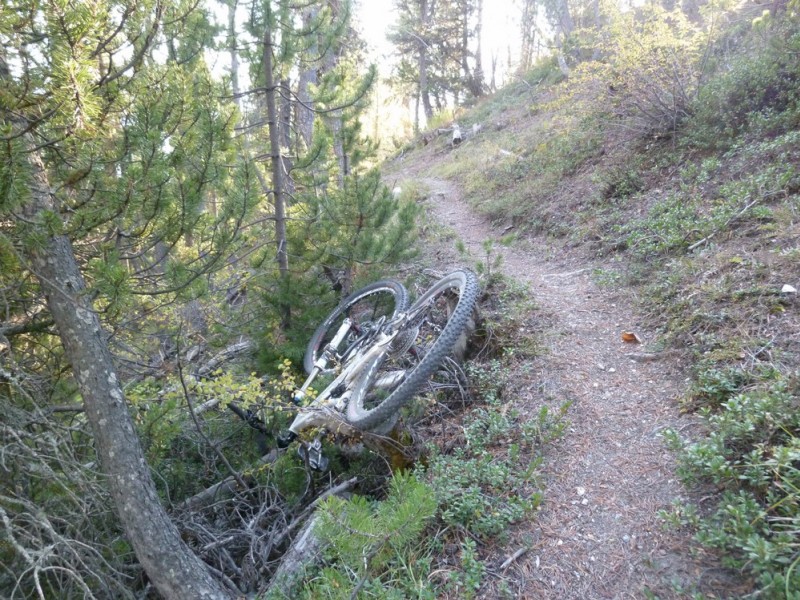#20 sortie de sentier : eh oui ça arrive ! sortie de sentier : eh oui ça arrive !