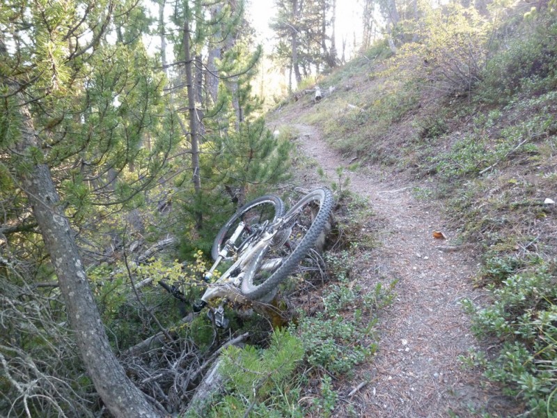 sortie de sentier : eh oui ça arrive !