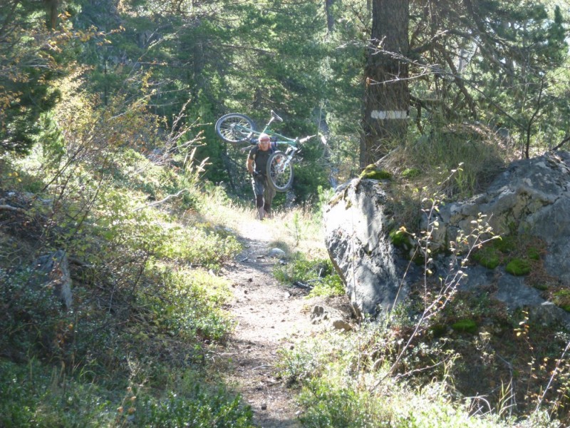 Portage : après la piste de débardage, sentier, mais toujours aussi raide