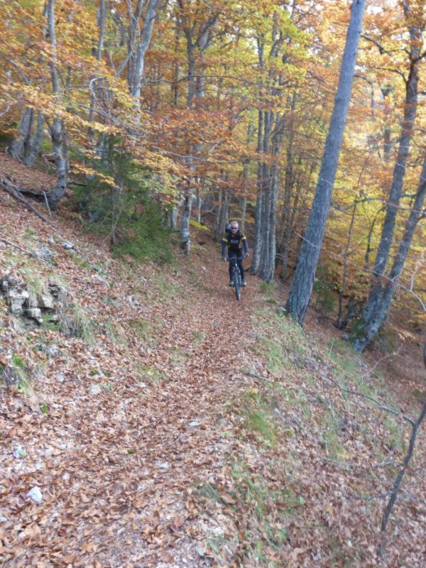 #16 Descente de Comboivin : Hetraie d Descente de Comboivin : Hetraie d'ubac