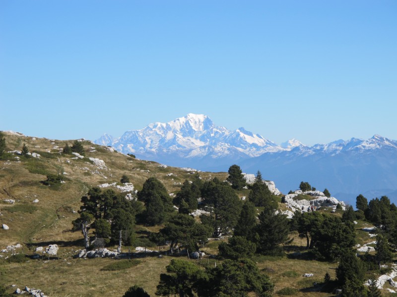 #14 le grand tout blanc : 4810m le grand tout blanc : 4810m