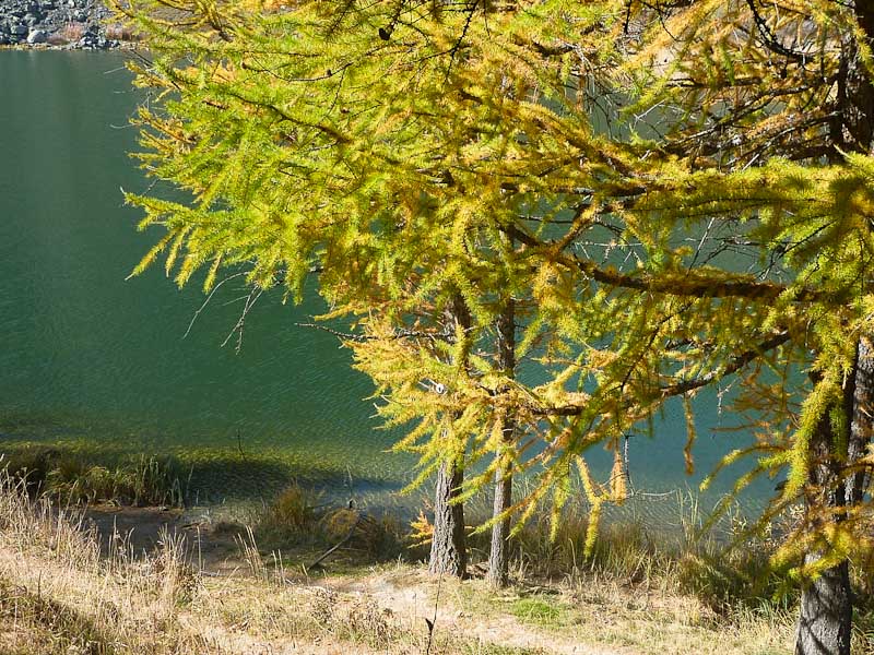 Lago Nero : The spot de pique-nique