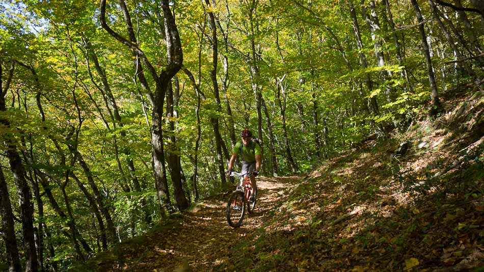 Descente sur la Combe : Rapide et assez joueur