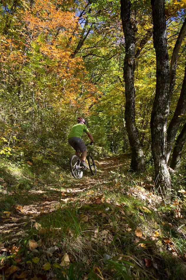 Montée vers Talabar : Jolis sous-bois