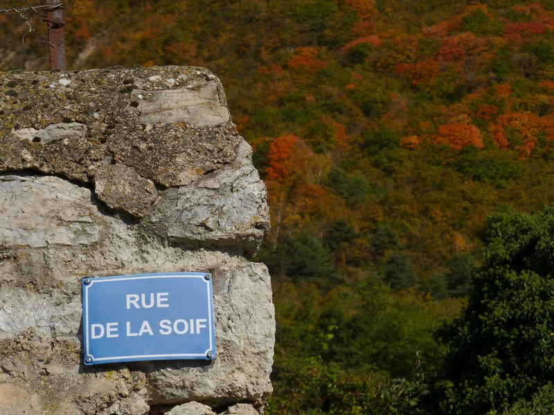#16 Guet : Ce qui peut être dangereux dans un vignoble... Guet : Ce qui peut être dangereux dans un vignoble...
