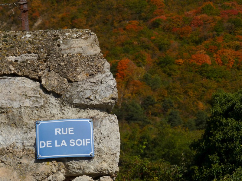 Guet : Ce qui peut être dangereux dans un vignoble...