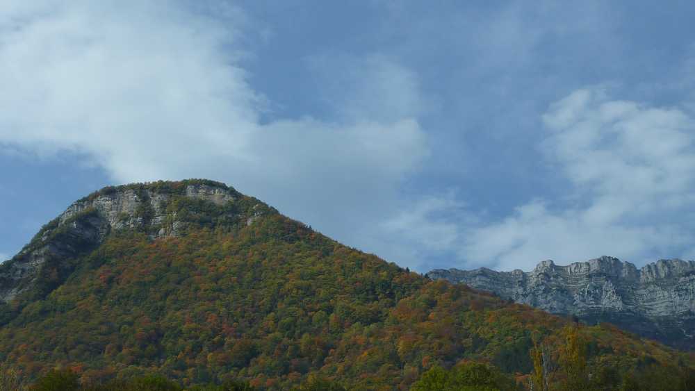 #1 Chartreuse : Verte Et Jaune Chartreuse : Verte Et Jaune