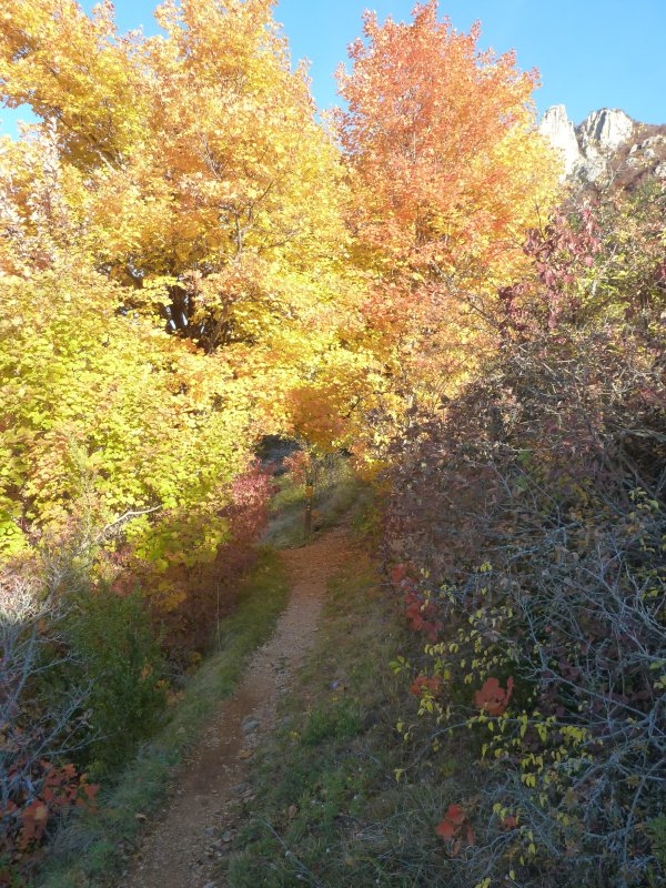 #2 Les vallons : départ de la descente Les vallons : départ de la descente