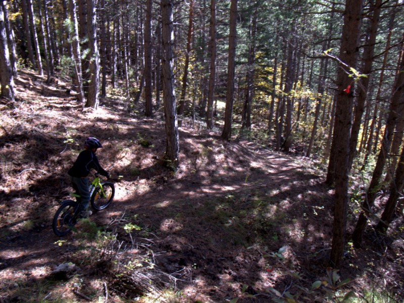 #4 Bois Durat : sentier assez facile pour les petits Bois Durat : sentier assez facile pour les petits