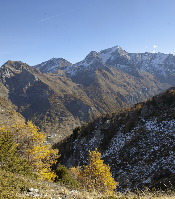 Croix Bozon : Aiguille Grive, Mont Pourri