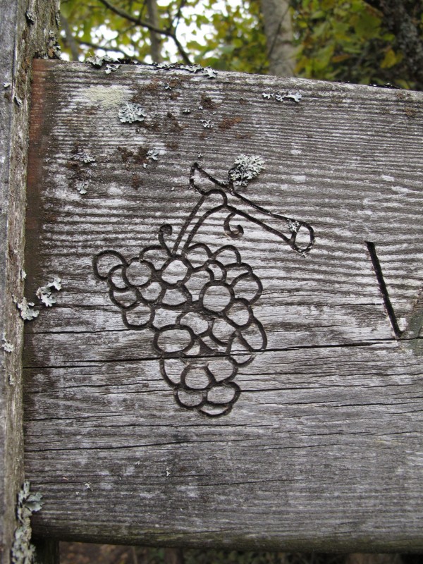 #5 col du Mont : pays des vins de Savoie col du Mont : pays des vins de Savoie