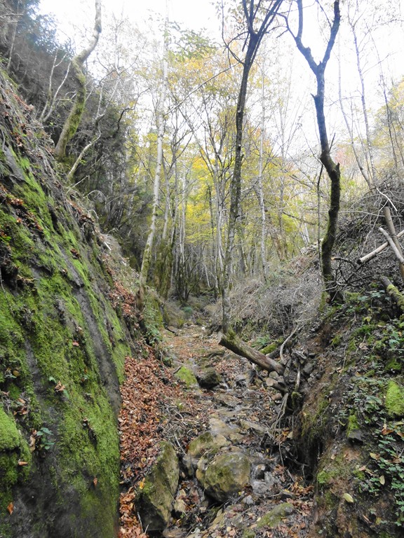 ruisseau de la Crousaz : un peu avant de rejoindre la route au niveau du pont "Jeannot"