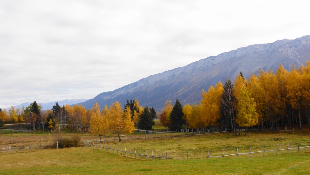 #1 plateau sud : Petite balade photo en milieu de journée pour enlever ce mal de tête ... plateau sud : Petite balade photo en milieu de journée pour enlever ce mal de tête ...