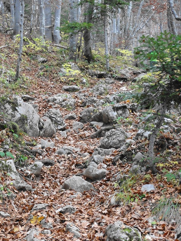 #9 sentier croix-col : cassant donc sentier croix-col : cassant donc