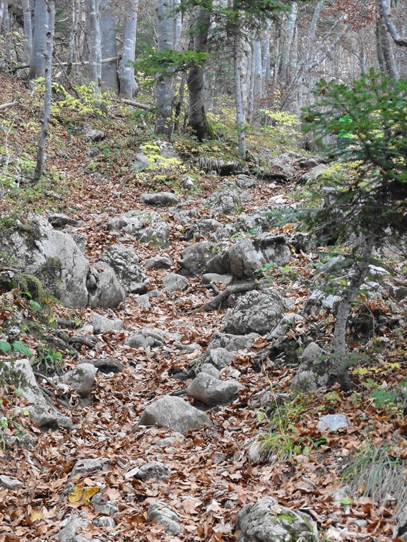 sentier croix-col : cassant donc