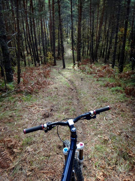 #14 Sous-bois : Sentier parfait pour lâcher la machine. Sous-bois : Sentier parfait pour lâcher la machine.