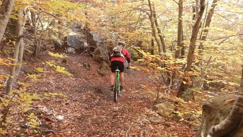 #3 Col de Peloussis - Annot : Pascal Col de Peloussis - Annot : Pascal