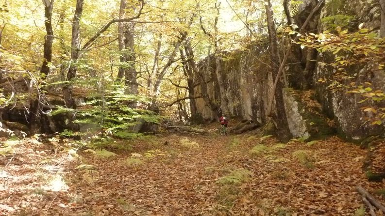 #4 Col de Peloussis - Annot : Les grés d Col de Peloussis - Annot : Les grés d'Annot sont omniprésents.
