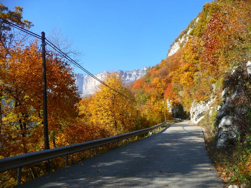 #2 La montée au Près : Magnifiques couleurs dorées La montée au Près : Magnifiques couleurs dorées