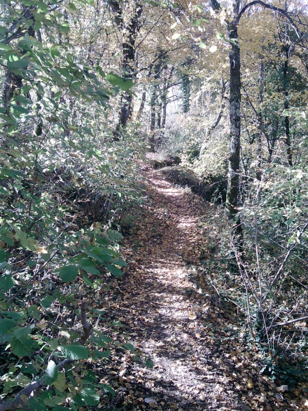 #3 Sentier crémolan : tout autant Sentier crémolan : tout autant