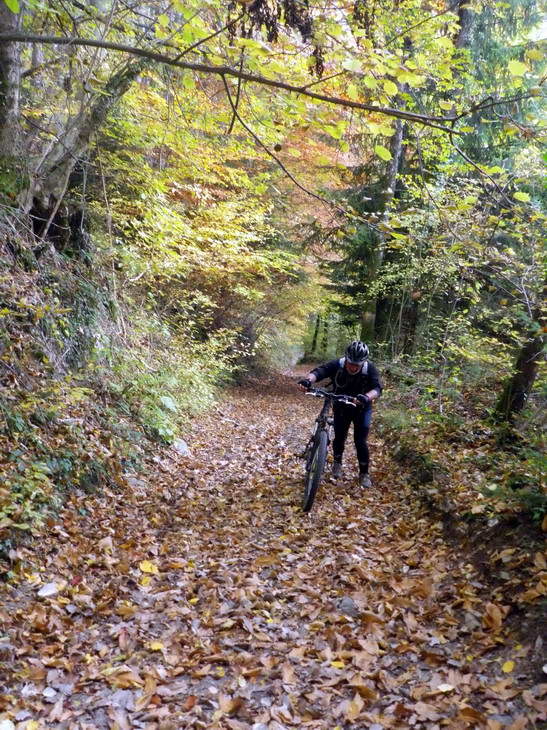 #6 Sentier découverte des Adrets : Le seul poussage de la journée Sentier découverte des Adrets : Le seul poussage de la journée