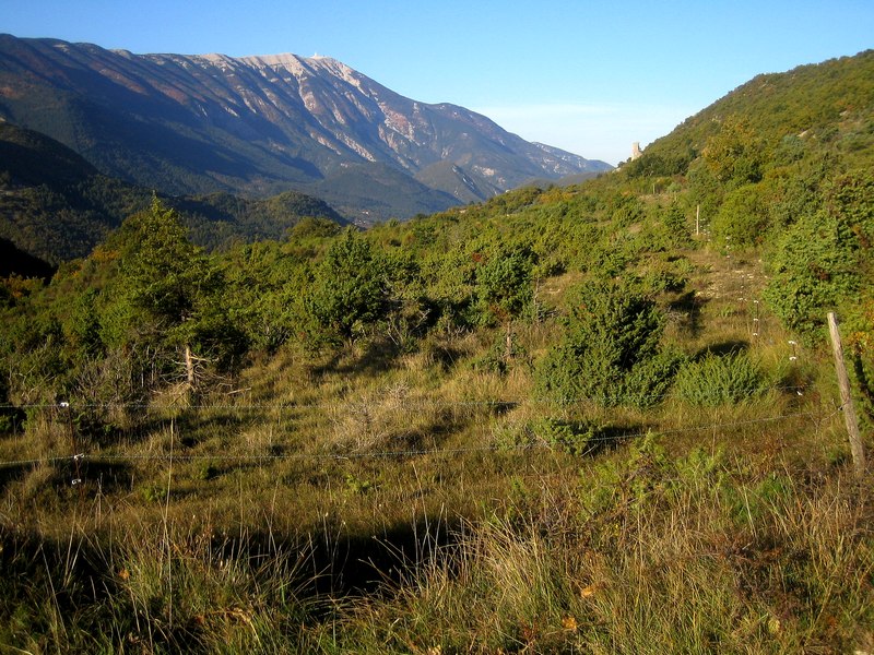#3 Paysage automnal : A droite le Rocher de Vic et à gauche le Ventoux Paysage automnal : A droite le Rocher de Vic et à gauche le Ventoux