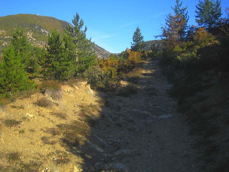 #5 Petite montée cassante : On s Petite montée cassante : On s'applique à tout monter sur le vélo