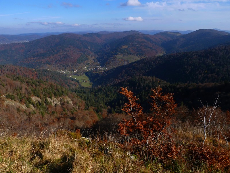 Ballon d'Alsace : Les Vosges