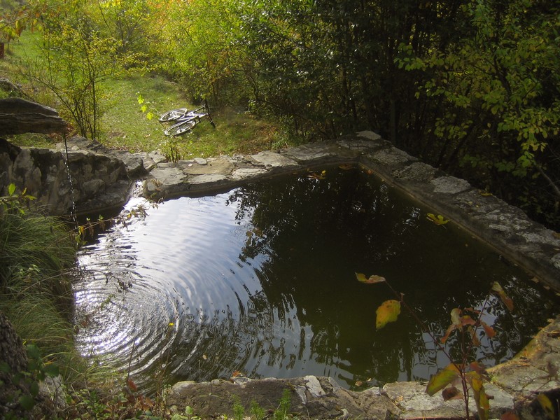 #5 Bassin : Un petit bassin abandonné Bassin : Un petit bassin abandonné