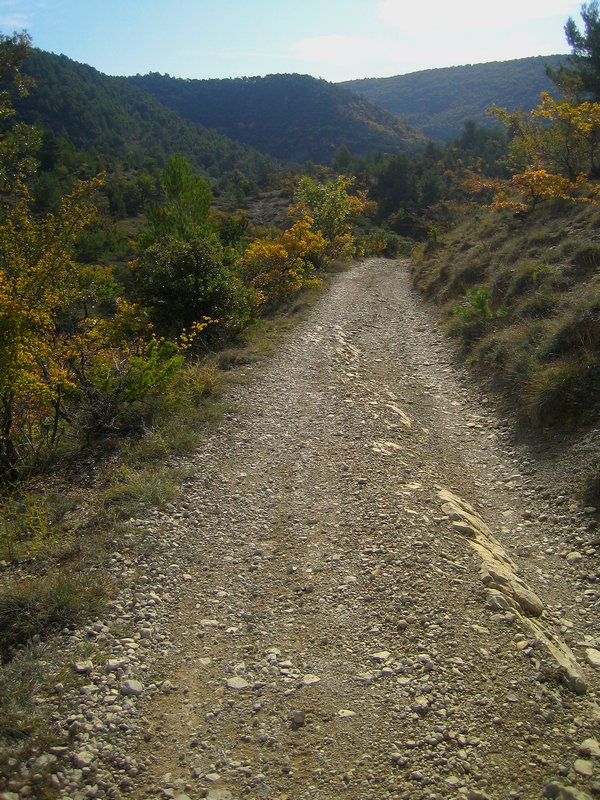 #8 Descente : Une piste facile qui devient plus cassant dans un joli défilé. Descente : Une piste facile qui devient plus cassant dans un joli défilé.