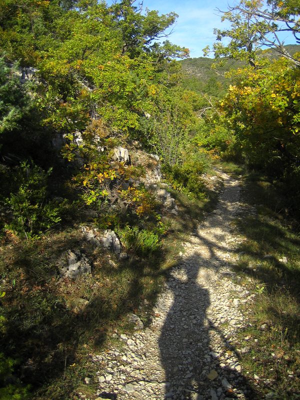 #1 Premiere descente : Petite descente pour se faire plaisir Premiere descente : Petite descente pour se faire plaisir