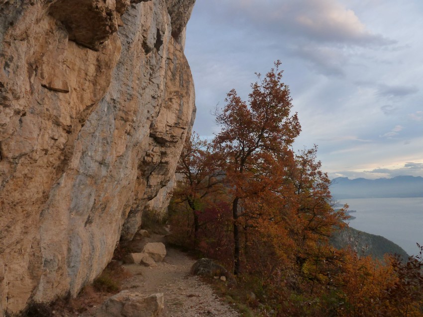 #5 Chambotte : Le long de la falaise d Chambotte : Le long de la falaise d'escalade