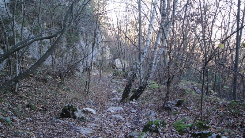 Sentier au Gampas : Pour le moment il n'y a pas encore trop de feuilles mais cela va augmenter.