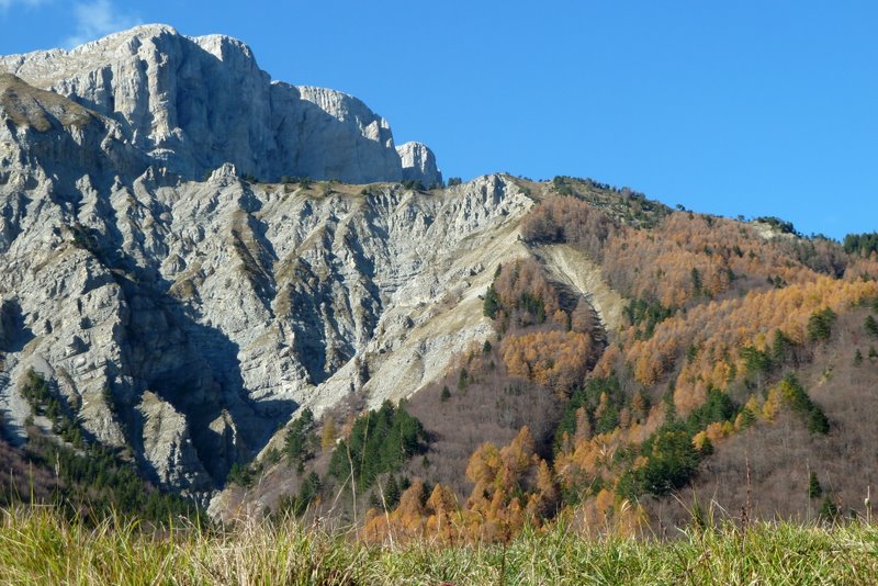 #11 Quinquambaye et Veymont : De quoi imaginer la descente dans la forêt sur la droite sous la crête Quinquambaye et Veymont : De quoi imaginer la descente dans la forêt sur la droite sous la crête