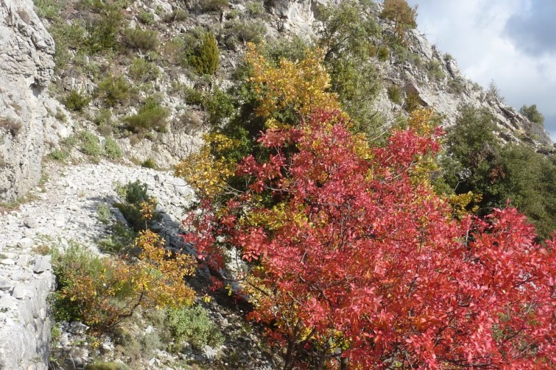 #11 Voie Romaine : Que c Voie Romaine : Que c'est beau ces couleurs