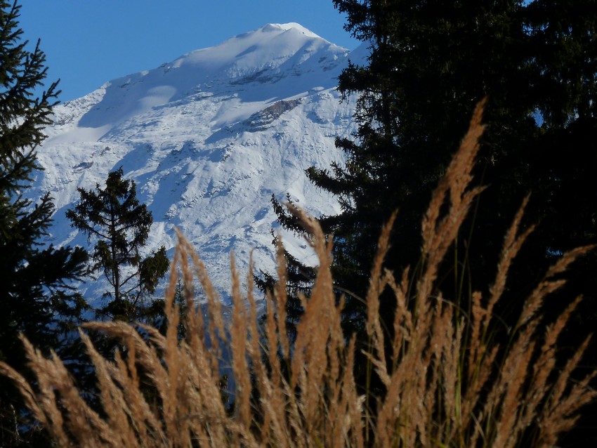 Pointe de Ronce : Glacier de l'Arcelle