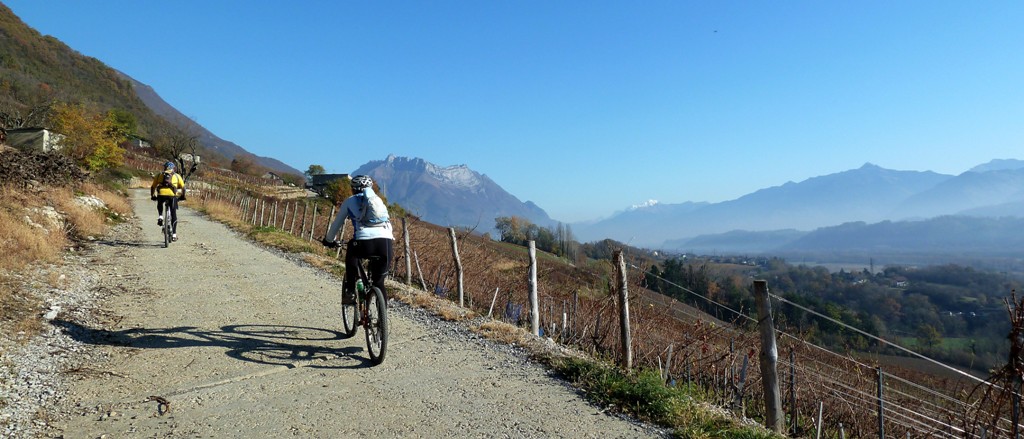 #1 dans les vignes : au dessus de Montmélian dans les vignes : au dessus de Montmélian