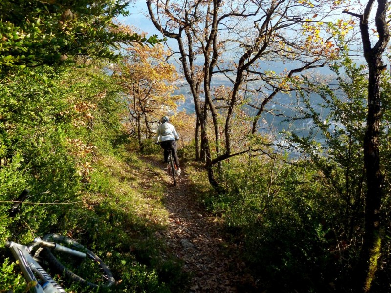 #10 Final sur Montmélian : dans les buis Final sur Montmélian : dans les buis
