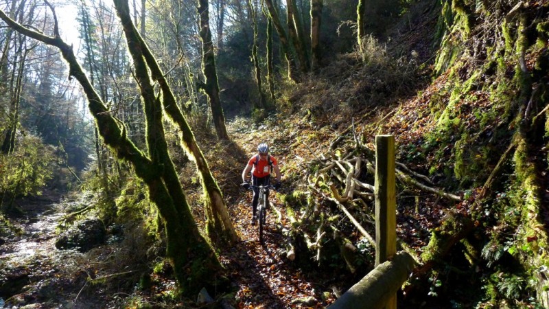#4 Ruisseau de Crousaz : à peine humide Ruisseau de Crousaz : à peine humide