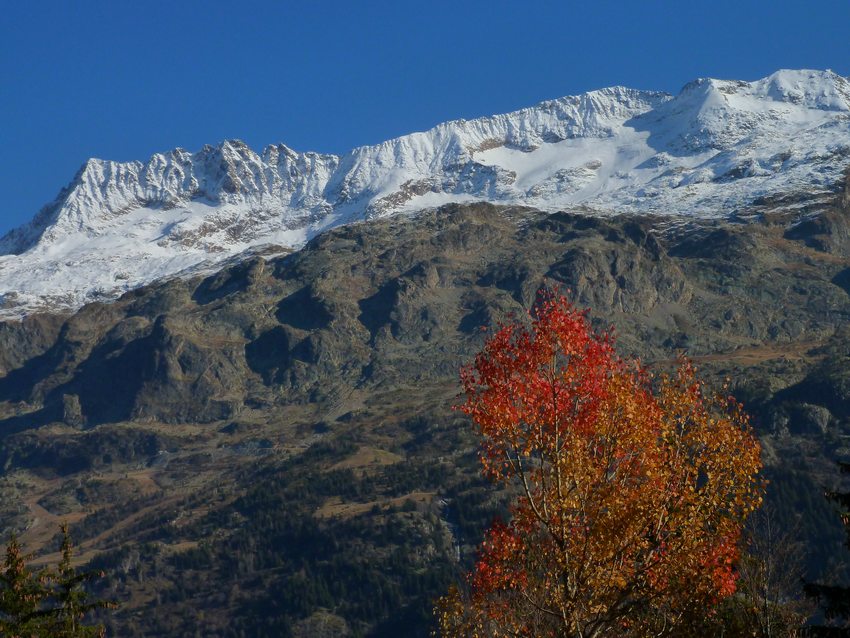 Grand Beau Rocher : Tremble devant l'Etendart