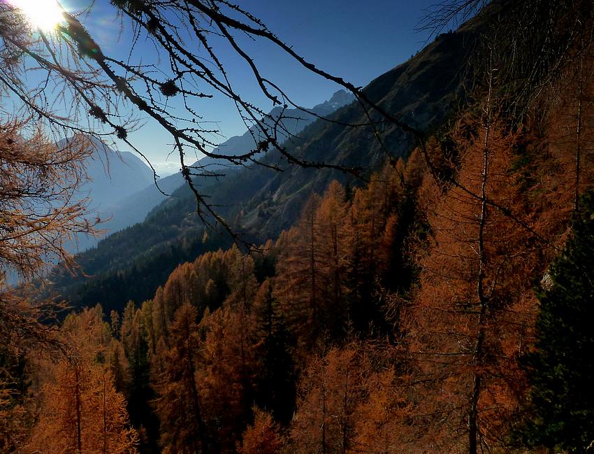 Grand Beau Rocher : plein sud