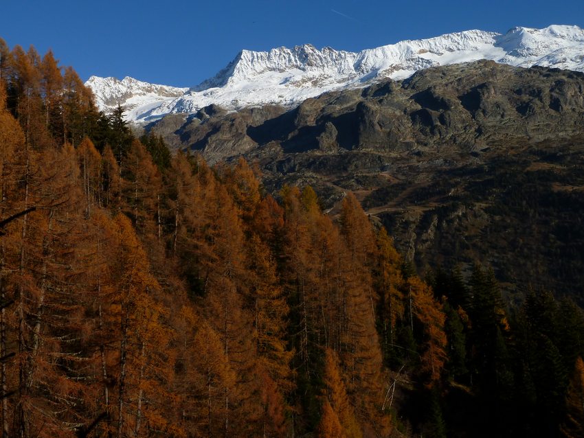 Grand Beau Rocher : Encore une