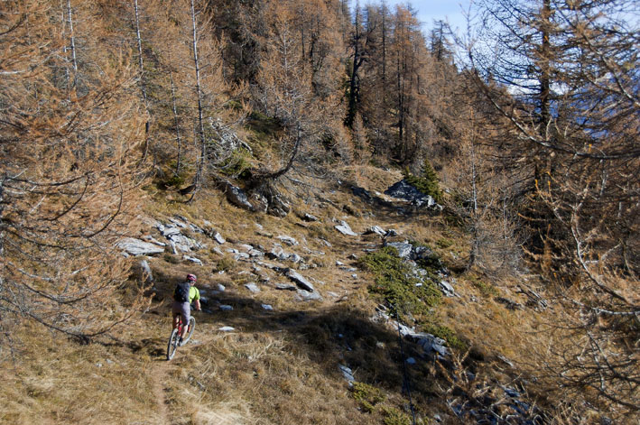 Varneralp : Petit pont