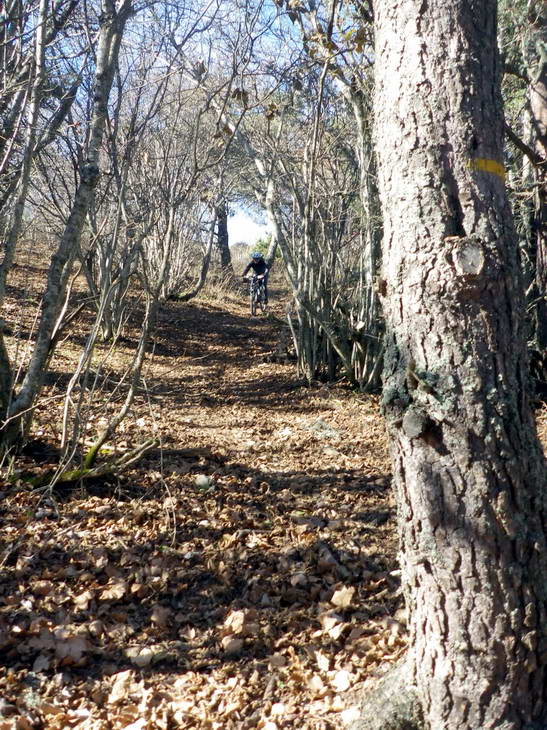 #4 Après la croix : Le seul passage raide du topo! Après la croix : Le seul passage raide du topo!