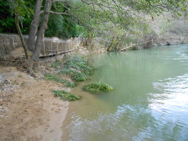#4 Siagne assagie. : 80 cm de dépôts alluviaux sur la passerelle de gauche. Siagne assagie. : 80 cm de dépôts alluviaux sur la passerelle de gauche.