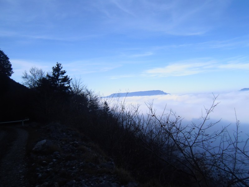 #2 Mer de nuages : la dent du chat depuis le golet du pont. Mer de nuages : la dent du chat depuis le golet du pont.