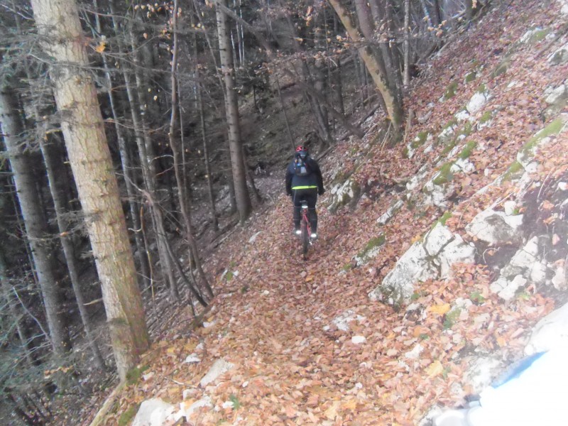 #4 Sentier des lacets : La partie centrale de la descente Sentier des lacets : La partie centrale de la descente