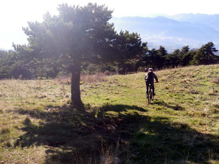 #14 Entrée dans les pins : à partir de là c Entrée dans les pins : à partir de là c'est bien joueur!