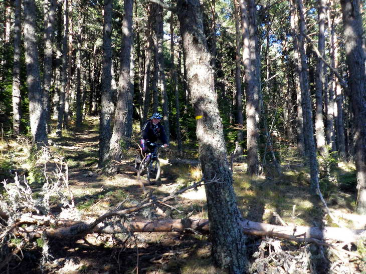 #15 Slalom : Entre spécial et géant, je sais pas trop... Slalom : Entre spécial et géant, je sais pas trop...