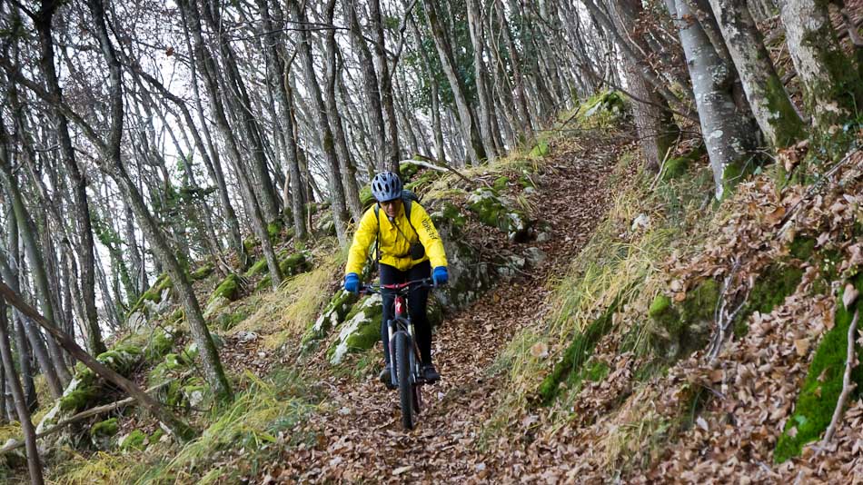#4 Sentier des Gardes : Attention aux feuilles qui masquent quelques pièges Sentier des Gardes : Attention aux feuilles qui masquent quelques pièges